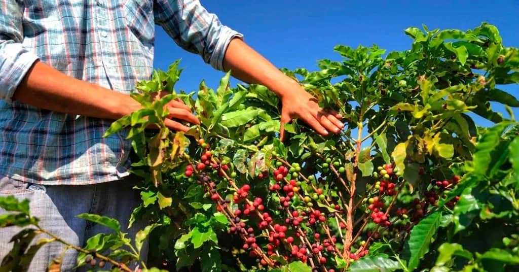 Monitoramento Inteligente